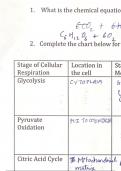 General Biology Assignments 