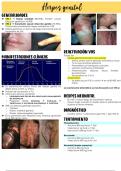 Class notes Medicina Interna Infectología Herpes