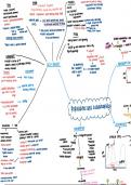 Populations and sustainability module 6 Mind map