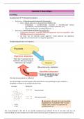 Statistiek II: samenvatting hoorcolleges 