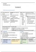 Schema Samenvatting -  Theoretische en historische grondslagen THG 2022-2023 Wim Van Den Broeck