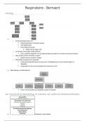 Samenvatting theorielessen Sara Bernaert - kinesitherapie respiratoir stelsel