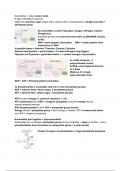 Nucleotides and Nucleic Acids