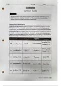 Exercise 2-1 Igneous Rocks