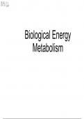 Citric Acid Cycle and Glycolysis 