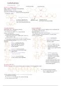 SNAB A level Biology Notes for Topic 1