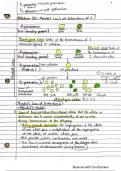 Mendel’s Law of Inheritance 2