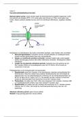 Casus 2 van blok 1.2 circulatie en ademhaling