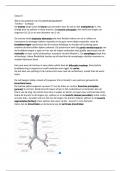 casus 5 van blok 1.2 circulatie en ademhaling