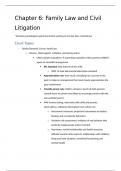 Ch 6: Family Law and Civil Litigation