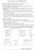 IB Biology notes (topic 2-5)