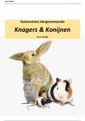 Stationstoets: rat, muis, cavia, konijn