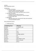 Medical terminology- Musculoskeletal System