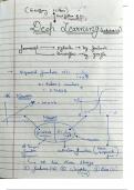 Deep Learning Notes