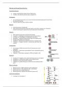 Meiosis and sexual reproduction