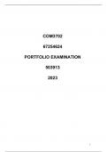 PORTFOLIO EXAMINATION