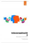 NEXT 4: ILO 3 Interculturele communicatie kwalitatief onderzoek cijfer 8,0