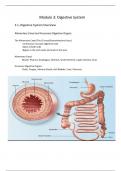 Module 3: Digestive System