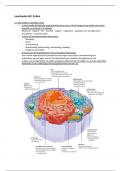 examenstof biologie Havo samenvatting