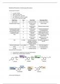 Medicinal chemistry of adrenergic neurones