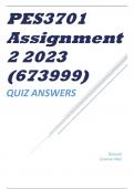 PES3701 Assignment 2 2023 (673999)