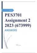 PES3701 Assignment 2 2023 