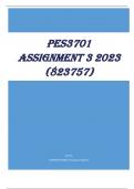 PES3701 Assignment 3 2023 (823757)