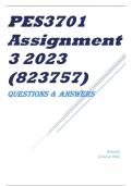 PES3701 Assignment 3 2023 (823757)