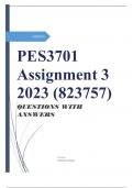 PES3701 Assignment 3 2023 (823757)