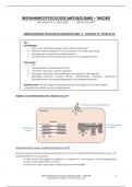 SAMENVATTING inspanningsfysiologie (metabolisme) - De Smet