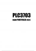 PLC3703 2023 JUNE EXAM_2023