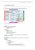 Samenvatting Functie en Functieherstel 3 (MED-B3TD3P)