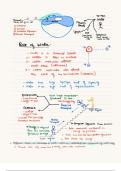 Molucules in and out of cells - Biology 5090