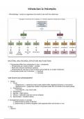 Introduction to Prokaryotes Summary