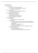 Lecture notes Unit 3 - The global economy  