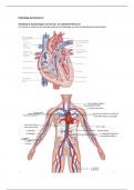 Samenvatting Pathologie kennistoets 2