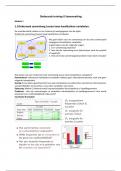 Samenvatting Onderzoek training 2