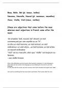 French GCSE revision notes ; irregular adjectives nouveau; beau; vieux
