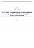 NR 631 Week 7 Risk Management and Human Resource  Management Plans - Chamberlain College of  Nursing/Already Graded 