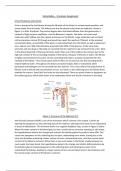 Unit 20 Aim C: Urinalysis Assignment (DISTINCTION)