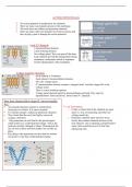 Neuroscience Week 2 Lecture Notes