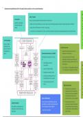 AQA A-Level Global Systems and Global Governance (Colour-coded notes)