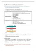 Edexcel A level and AS level geography tectonics KI1.3 summary notes