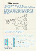 EDEXCEL BIOLOGY protein synthesis 