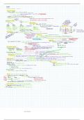 USMLE Step 1 - MSK Overview