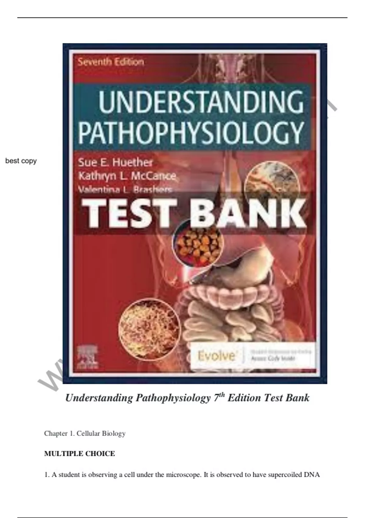 Test Bank For Understanding Pathophysiology 7th Edition ...