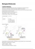 ALevel Biology - Biological Molecules Revision Notes