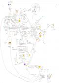 Organic aliphatic compound reaction map