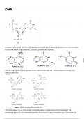 Chemistry Alevel Unit 3.3.13 - DNA Notes