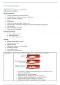 Volledige samenvatting 'Pathologie' 3ML